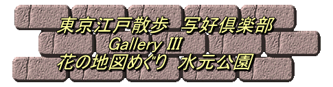 Gallery III Ԃ̒n}߂@