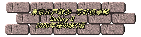 東京江戸散歩　写好倶楽部 　　　　Gallery II 　2020年桜の咲く頃